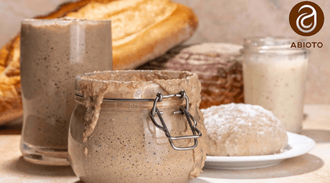 Gluten-Free Sourdough Starter: How to Make and Maintain It - Abioto Baking