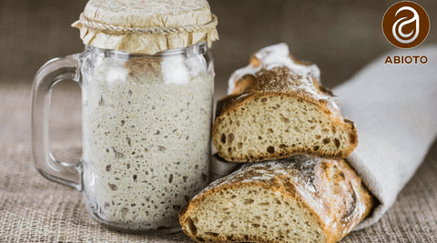 How to Tell If Your Sourdough Starter Is Bad: A Clear and Confident Guide - Abioto Baking
