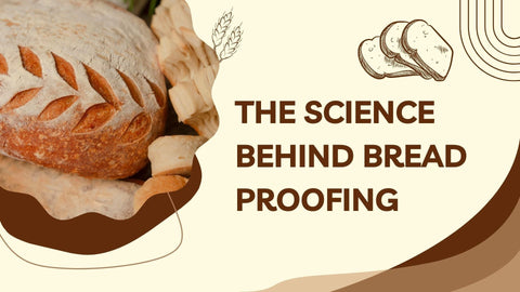 The Science Behind Bread Proofing: Why It Matters - Abioto Baking